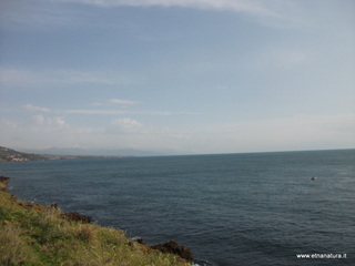 zzena-07-04-2013 08-32-12